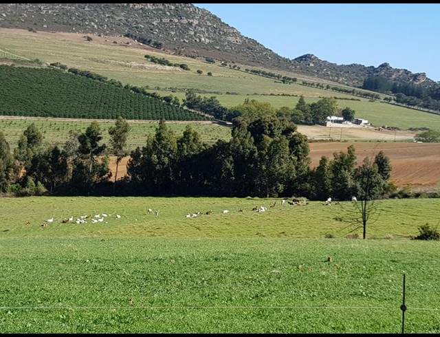 FARM FOR SALE IN PIKETBERG RURAL